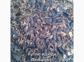 Зображення для оголошення Купим відходи соняшника ділові