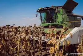 Зображення для оголошення Закуповуємо насіння соняшнику