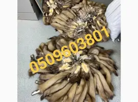 Зображення для оголошення Продам шкіри куниці вичинені