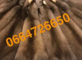 Зображення для оголошення Продам куницю вичинену тисячі штук лісова та камʼянка