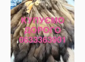 Зображення для оголошення Куплю шкіри куниці хутро куниць купимо