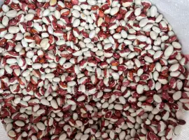 Зображення для оголошення Куплю Фасоль Червона Шапочка