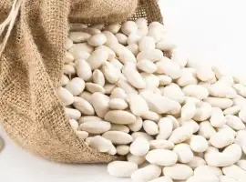 Зображення для оголошення Насіння квасолі Наутіка - І репродукція