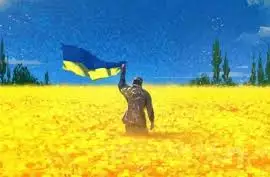 Зображення для оголошення Купуємо Ріпак ГМО/без ГМО По всій Україні