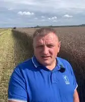 Зображення для оголошення Агрокомпанія закупить Ріпак без ГМО та ГМО по Україні 1Ф