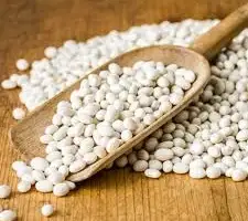 Зображення для оголошення Приймаємо різні сорти квасолі на переробку