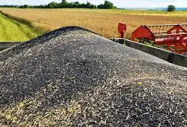 Зображення для оголошення Куплю Ріпак по Україні