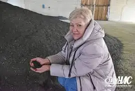 Зображення для оголошення Куплю Рапс по Украине