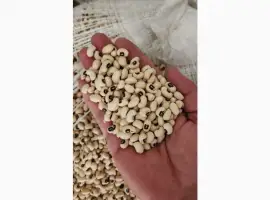 Зображення для оголошення Экспорт оптом и в розницу из Туркменистана бобовых