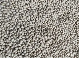 Зображення для оголошення Продам квасолю Мавка