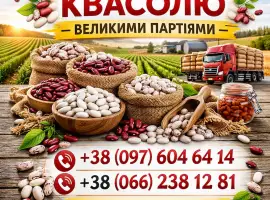 Зображення для оголошення Куплю квасолю великий