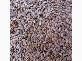 Зображення для оголошення Продам семена льна