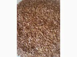 ЛЬОН (Flaxseed)