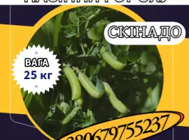 Зображення для оголошення Насіння Цукрового Гороху Скінадо. Насіння Гороху ( 25кг )