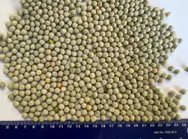 Зображення для оголошення Продаж ГОРОХ ЗЕЛЕНИЙ (Green Peas)