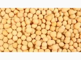 Зображення для оголошення Продам горох