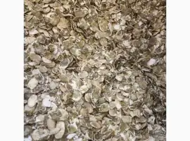Зображення для оголошення Продам жмих насіння гарбуза (не великі партії)