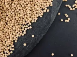 Зображення для оголошення Насіння гірчиці