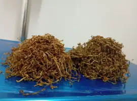 Зображення для оголошення Тютюн люкс якості