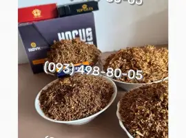 Зображення для оголошення Гільзи