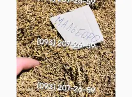 Зображення для оголошення Якість та аромат тютюну Вірджинія