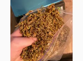 Зображення для оголошення М’який