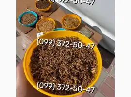 Зображення для оголошення Якісний