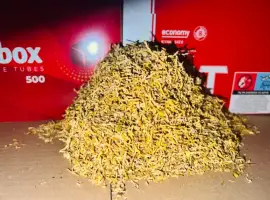 Зображення для оголошення Табак розница и опт: Вирджиния