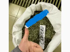 Зображення для оголошення Куплю махорку стебло тютюнове
