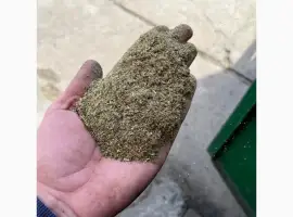 Зображення для оголошення Купим махорку в очень больших объемах