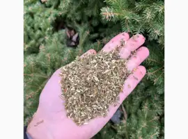 Зображення для оголошення Ищу махорку для закупки