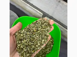 Зображення для оголошення Куплю махорку в любом количестве