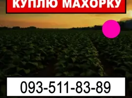 Зображення для оголошення Шукаю махорку