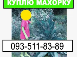 Зображення для оголошення Махорка її залишки та інше