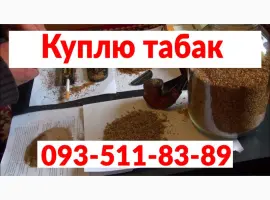 Зображення для оголошення Купимо махорку від виробника