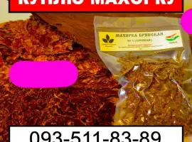 Зображення для оголошення Махорка и ее производные