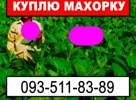 Зображення для оголошення Куплю хорошую махорку для личного использования