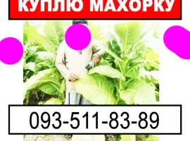 Зображення для оголошення Придбаємо Вашу махорку