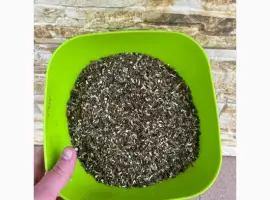 Зображення для оголошення Махорка крепк