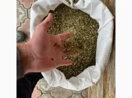 Зображення для оголошення Махорка Самосад