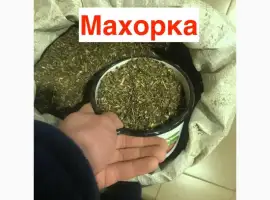 Зображення для оголошення Махорка 2025 року для справжніх цінителів