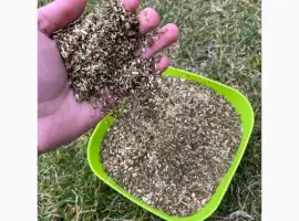 Зображення для оголошення Продам тютюн самосад махорка