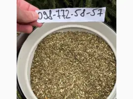 Зображення для оголошення Продам махорку (самосад) Хорошего качества