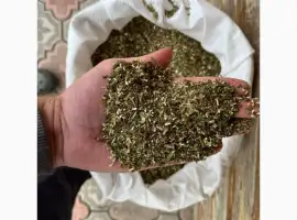 Зображення для оголошення Махорка которую выращиваем сами