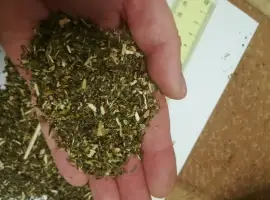Зображення для оголошення Продаю домашний табак Махорка и Вирджиния
