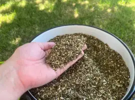 Зображення для оголошення Самосад смачненький