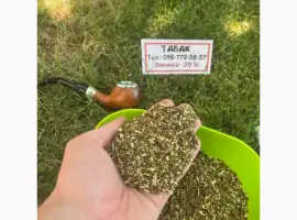 Зображення для оголошення Свіжа махорка-самосад для вас