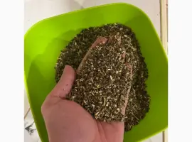 Зображення для оголошення Махорка-самосад: аромат і смак природи