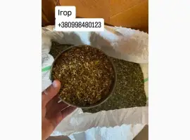 Зображення для оголошення Тютюн табак самосад опт і розніца