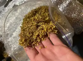 Зображення для оголошення Табак!Смачний присмак табаку та водночас легка міцність